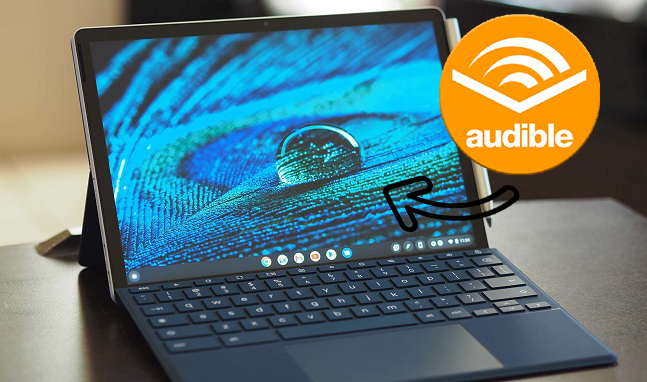 play audible on chromebook