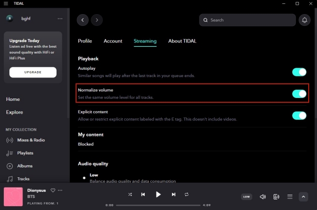 disable tidal normalize volume on pc