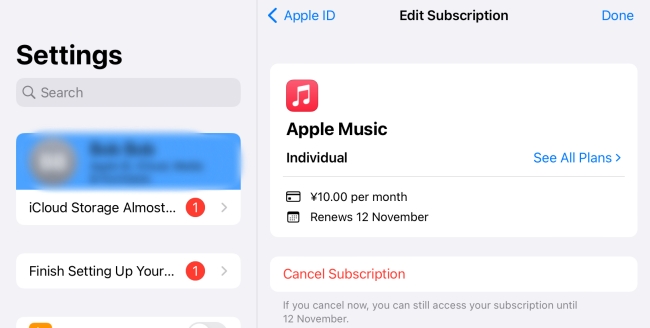 check apple music subscription