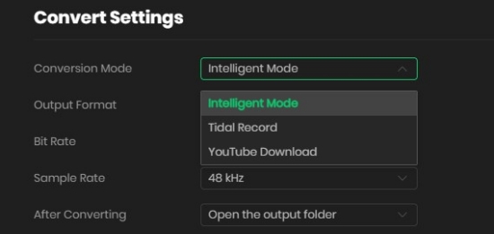 convert settings on noteburner tidal music converter