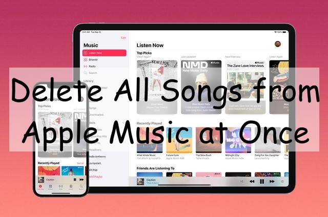 delete all songs from apple music at once