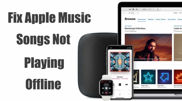 fix apple music songs not playing offline